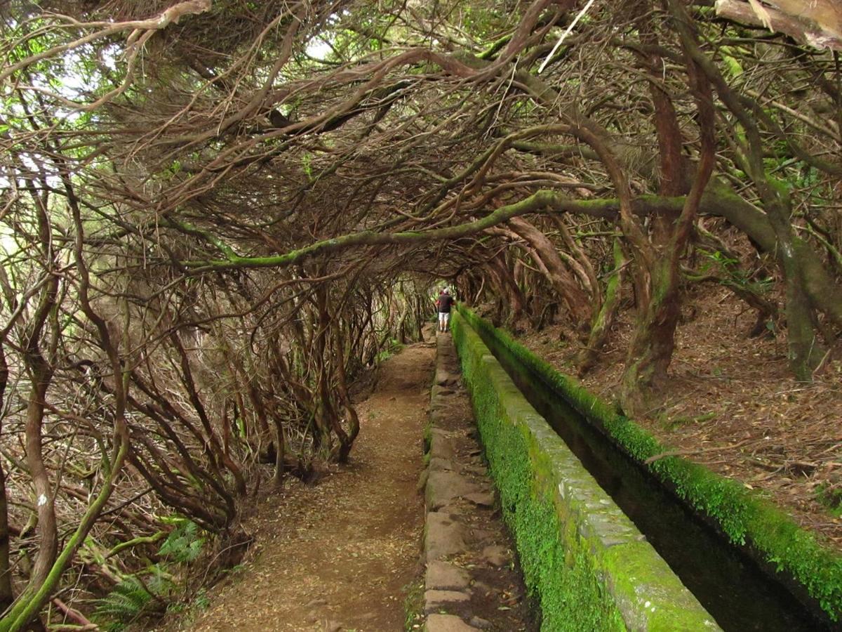דירות Beautiful View 3 Arco Da Calheta - Ilha Da Madeira מראה חיצוני תמונה